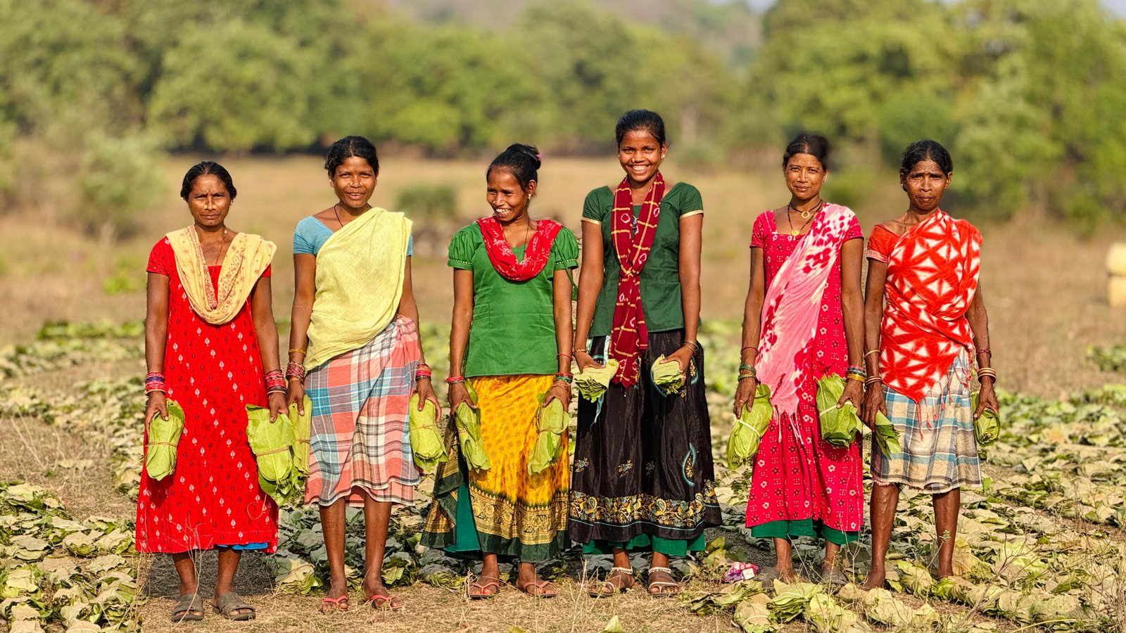 तेंदूपत्ता संग्राहकों के चेहरे खिले, 40.72 करोड़ रुपए सीधे संग्राहकों के बैंक खातों में42 हजार से अधिक तेंदुपत्ता संग्राहकों को मिला लाभ